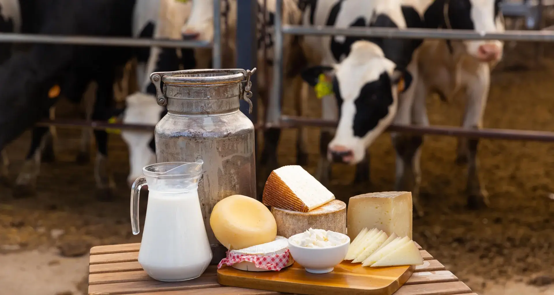 Not all trans fats are bad, major review finds