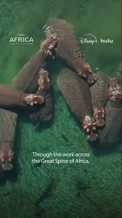 What is the Great Spine of Africa? #AfricaEarthsWildHome - YouTube