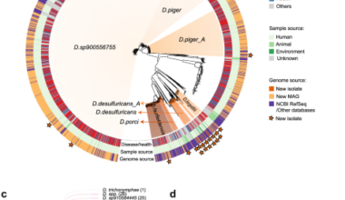 Extensive genomic diversity in Desulfovibrio reveals species-specific functional traits associated with disease