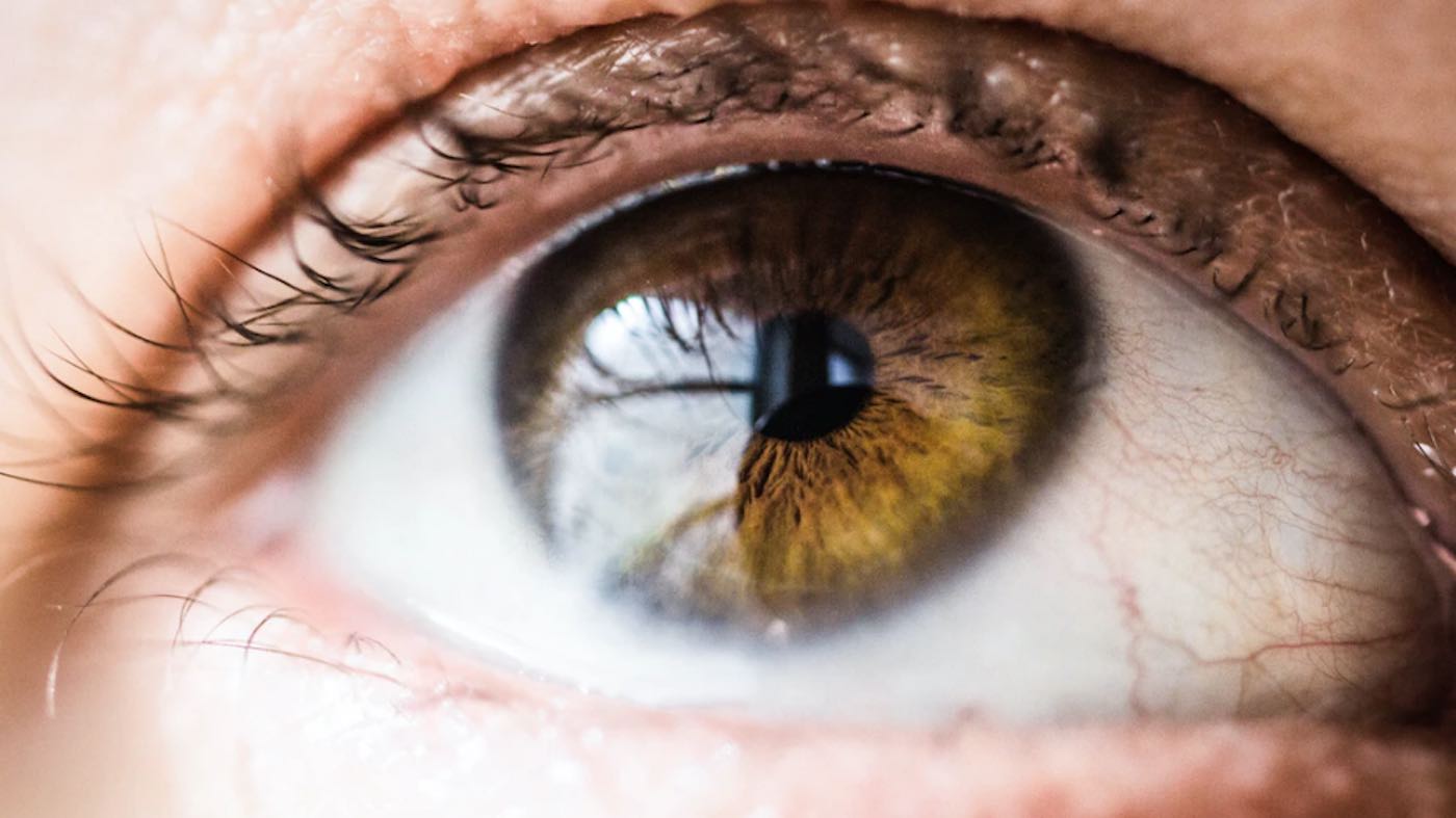 Statins May Protect People From Glaucoma or Blindness By Preventing or Slowing Nerve Cell Death