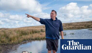 Rapid showers and no flushing toilets: drought pushes Lundy island to the brink | Devon