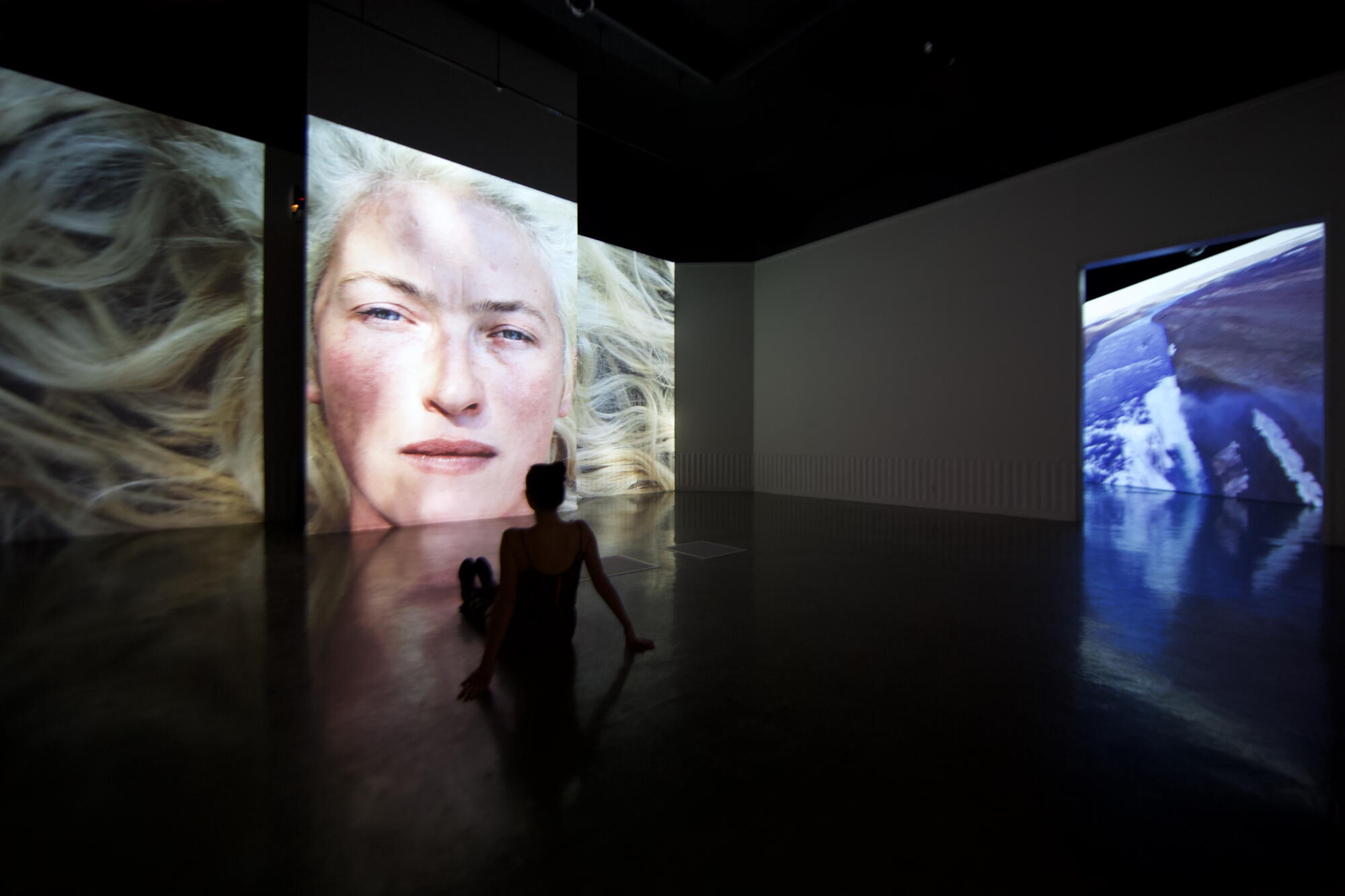 "20/20:Accelerando" (2016), video installation. Installed at the USC Fisher Museum of Art in 2016.