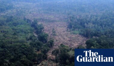 Brazilian Amazon deforestation falls to lowest on record as pivotal vote looms | Amazon rainforest