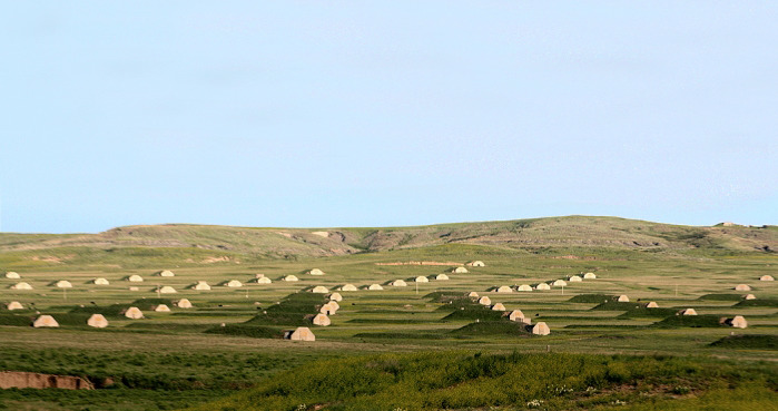 Bunkers and Arks: Escaping the Future We Built Ourselves