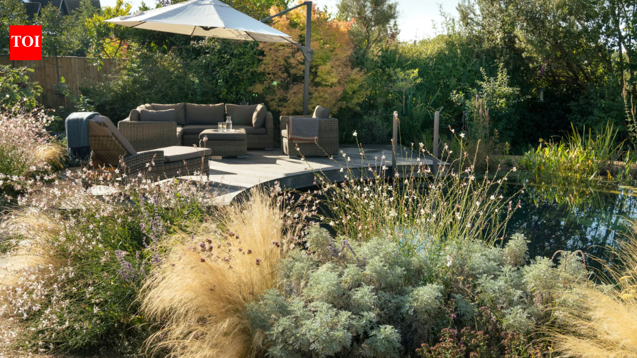 A Buckinghamshire wildlife garden redesigned around an unheated natural swimming pond that attracts frogs, bats, and dragonflies﻿ | World News