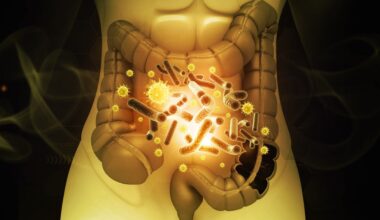 Intestinal microbiome concept