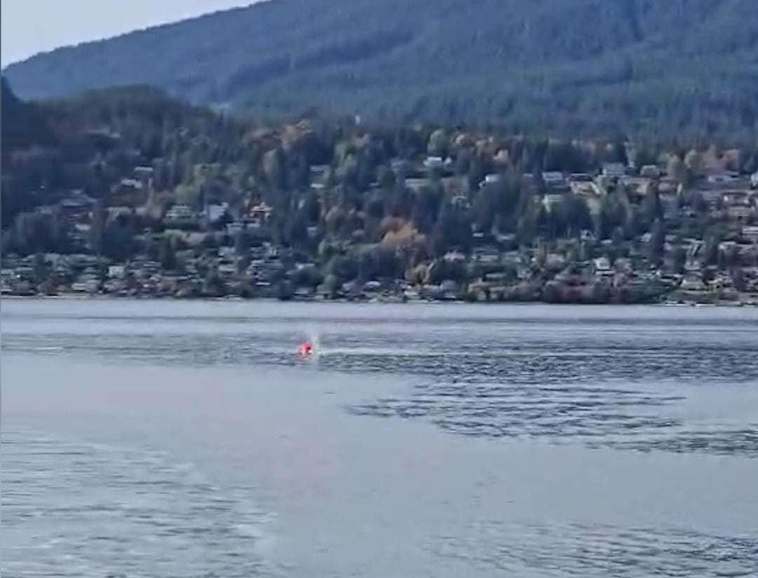 A whale seen blowing blood from its spout into the air after being struck by a ferry in Howe Sound.