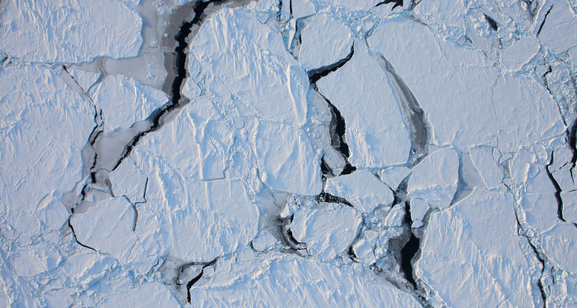A Suitcase From The Edge Of The North Pole’s Ice Unexpectedly Turned Up In Iceland