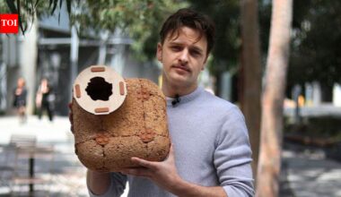 An Australian designer develops hempcrete tiles to recreate tree hollows and rocky crevices; shelters aim to help threatened wildlife, including eastern quolls and ringtail possums | World News