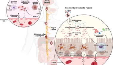 Emerging links between gut dysbiosis, aryl hydrocarbon receptor activation, and Parkinson’s disease