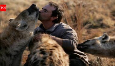 Kevin Richardson Foundation's Bold Conservation Achievements in 2024: Protecting Wildlife and Restoring Ecosystems | World News