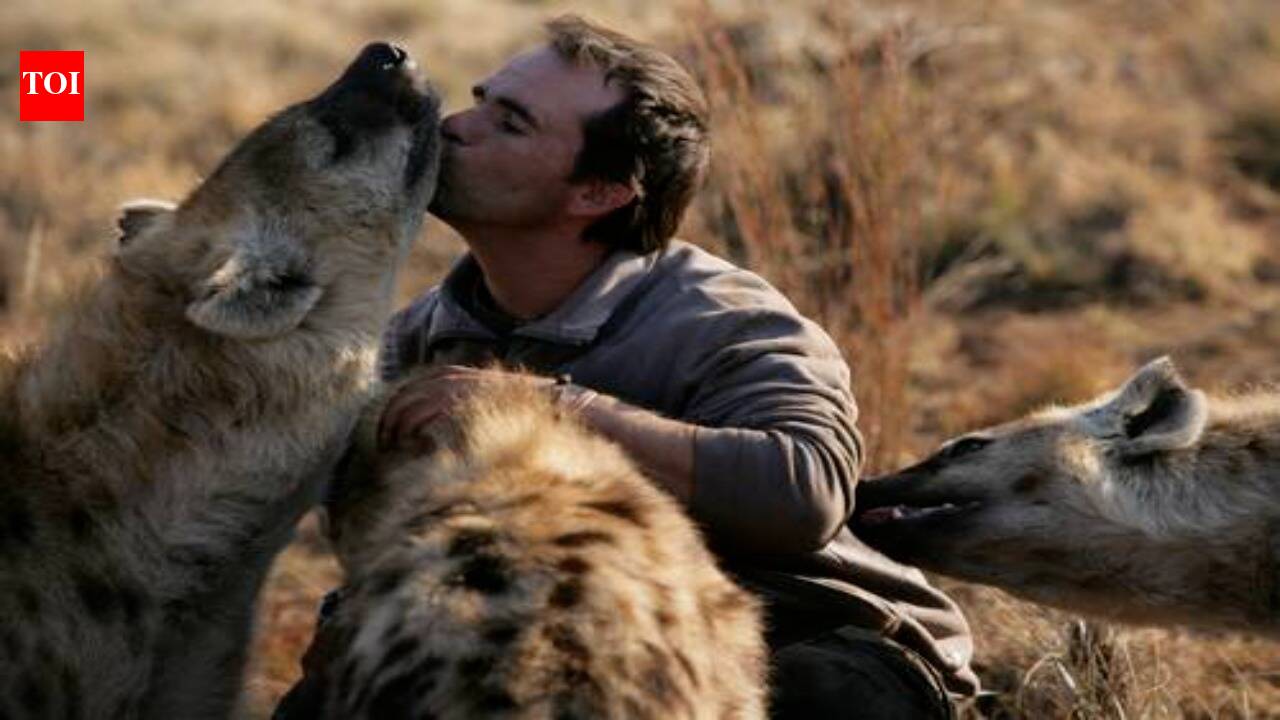 Kevin Richardson Foundation's Bold Conservation Achievements in 2024: Protecting Wildlife and Restoring Ecosystems | World News