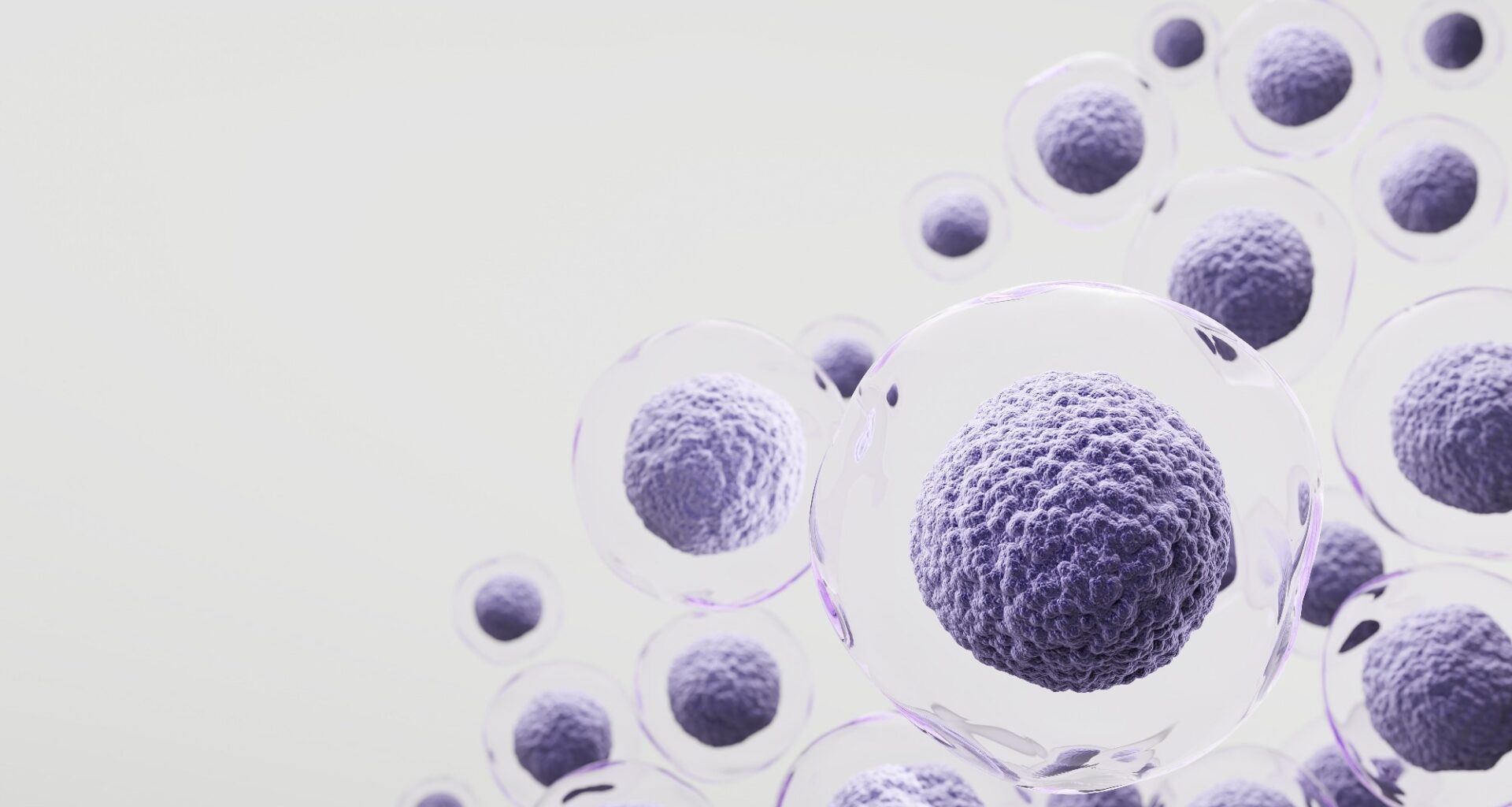 Stem cell illustration