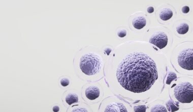 Stem cell illustration
