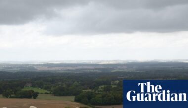 Country diary 1951: A lonely walk on the Berkshire Downs | Wildlife