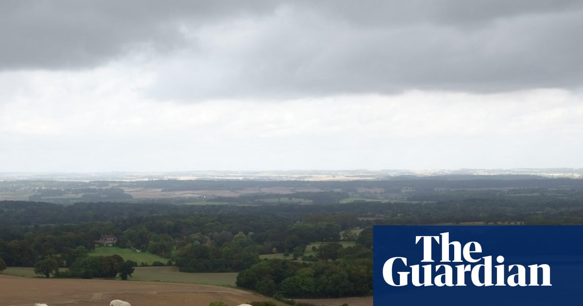 Country diary 1951: A lonely walk on the Berkshire Downs | Wildlife