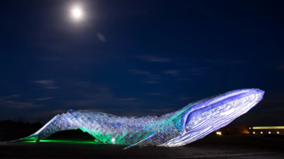 Two California artists turned around 5,000 pounds of discarded plastic into an 82-foot blue whale in 2018; after moving to New Mexico, the record-setting sculpture was named a Roadside America Sight of the Week in 2026