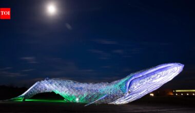 Two California artists turned around 5,000 pounds of discarded plastic into an 82-foot blue whale in 2018; after moving to New Mexico, the record-setting sculpture was named a Roadside America Sight of the Week in 2026
