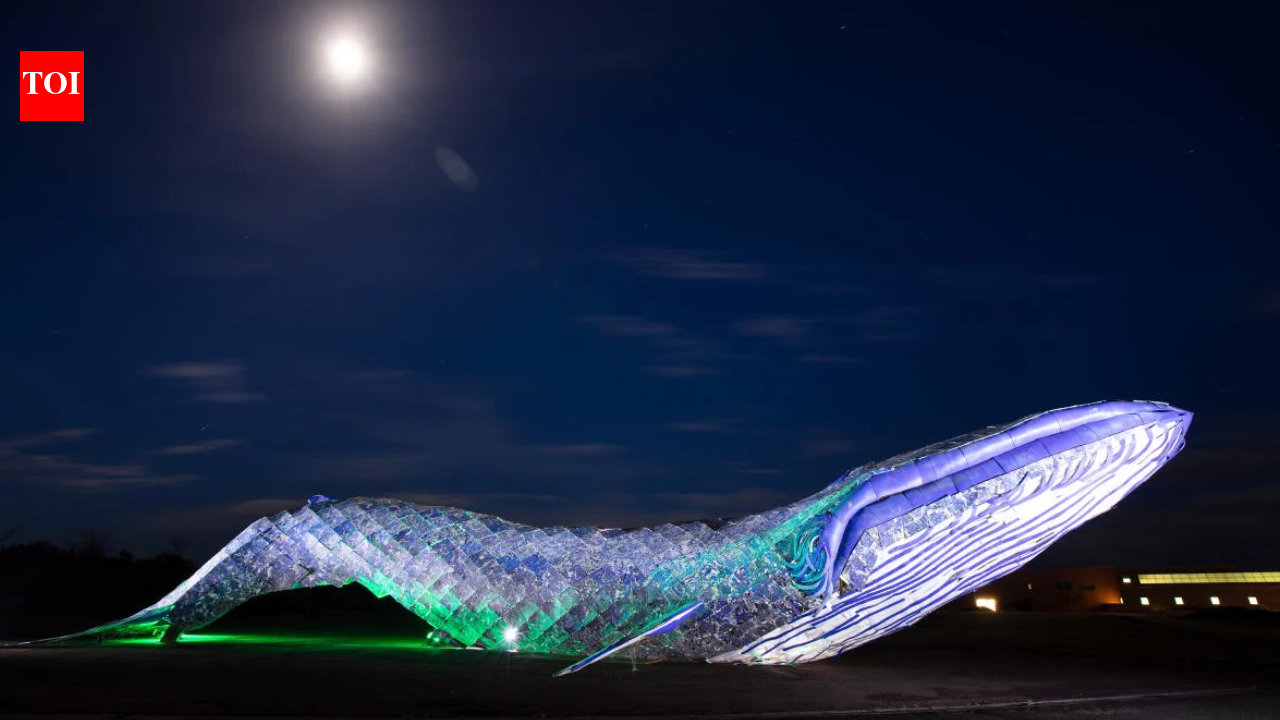 Two California artists turned around 5,000 pounds of discarded plastic into an 82-foot blue whale in 2018; after moving to New Mexico, the record-setting sculpture was named a Roadside America Sight of the Week in 2026