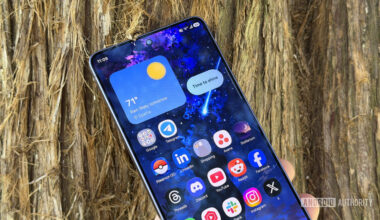 Samsung Galaxy S26 Ultra home screen black cat