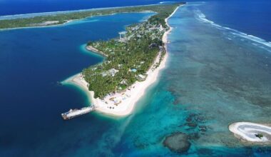 Ocean’s ability to absorb carbon is weakening as climate change intensifies, UN warns