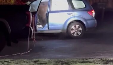 Bear locks itself in a car and destroys interior - YouTube