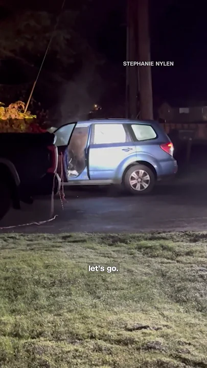 Bear locks itself in a car and destroys interior - YouTube