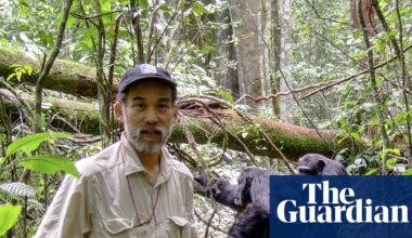 ‘I didn’t want to write about this’: the man who first saw chimps waging civil war | Primatology