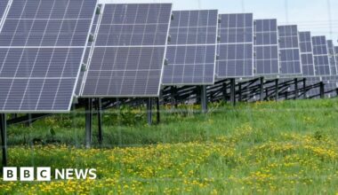 Changes made to plans for solar farm near Selby after opposition - BBC