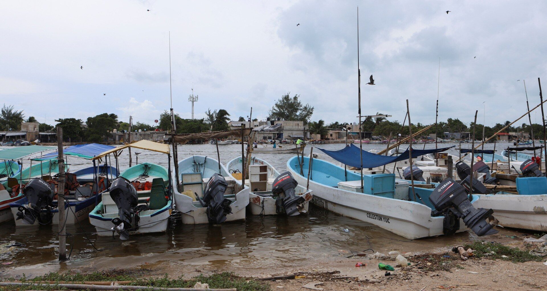 Faecal waste pollutes drinking water in Mexico’s Yucatan, Greenpeace says | Environment News