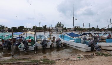 Faecal waste pollutes drinking water in Mexico’s Yucatan, Greenpeace says | Environment News