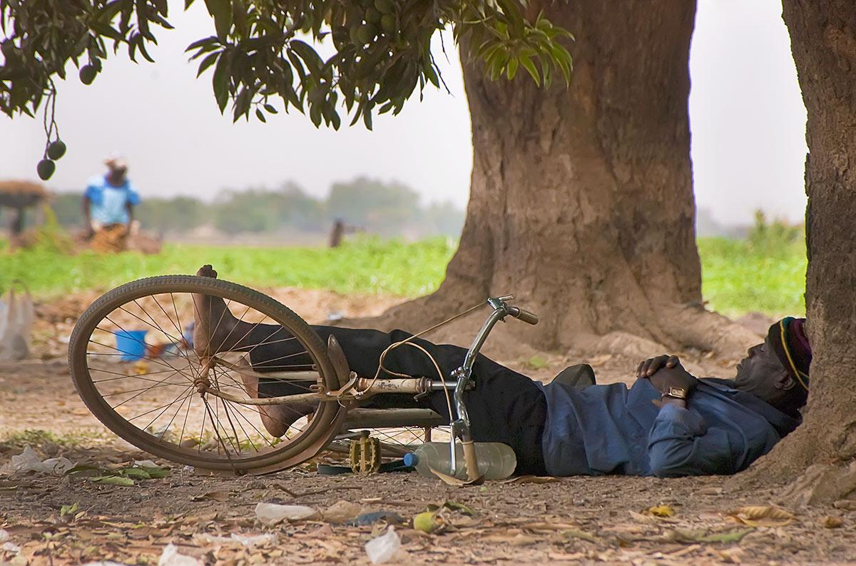 Photograph: Kind courtesy Roman Bonnefoy/Wikimedia Commons