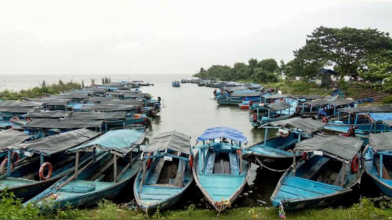 Boats anchored at Chilika Lake