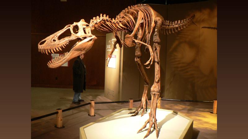 IMAGE: Kindly note the image has been posted only for representational purposes. Photograph: Kind courtesy stu_spivack/Wikimedia Commons