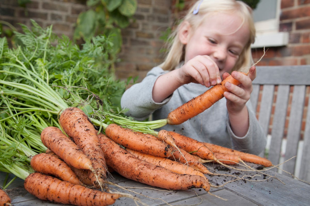 Vegetables are now half as nutritious than 60 years ago. Experts have worked out why