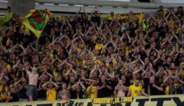 Sick of fans phoning it in, Borussia Dortmund take action against in-game distraction – The Irish Times