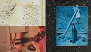 AI for Science expands to foundations and research institutions