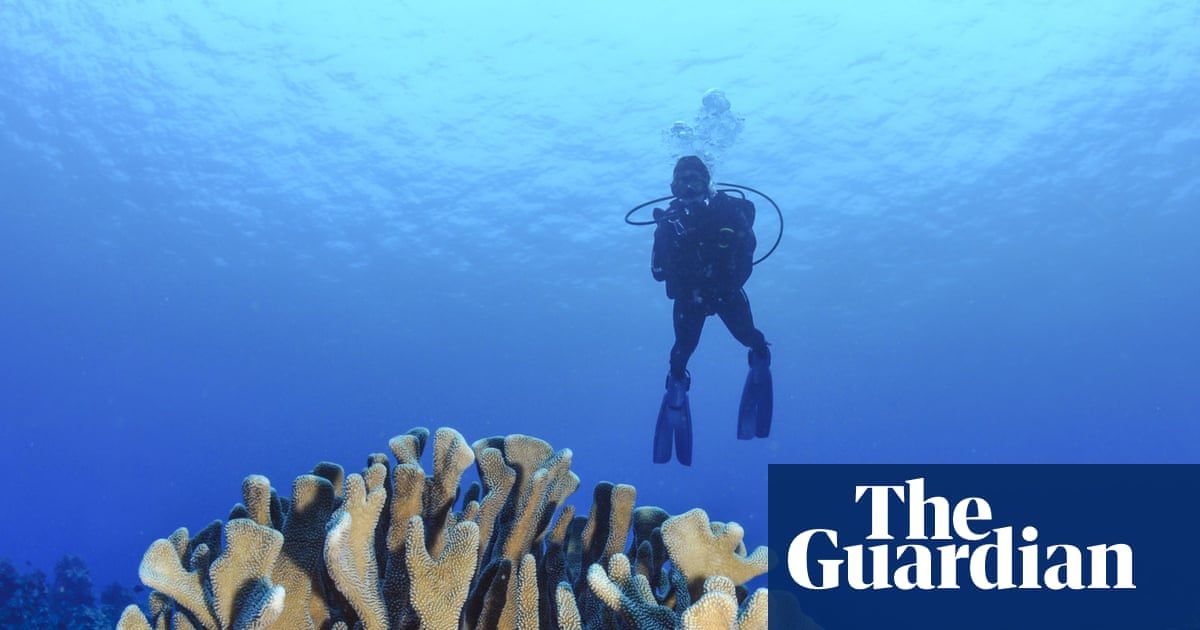 Almost every shallow-water coral reef on the planet faces ecosystem collapse by 2075, UN advisors say | Australia news