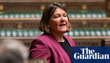 Greens must avoid ‘capture by extremists and racists’, says party MP | Green party