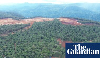 Revealed: VW, Ford and Tesla batteries linked to destructive deforestation of indigenous lands | Mining
