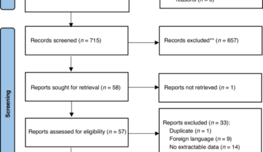 Primary preventive interventions to reduce ventilator-associated pneumonia in neonatal intensive care units: a meta-analysis
