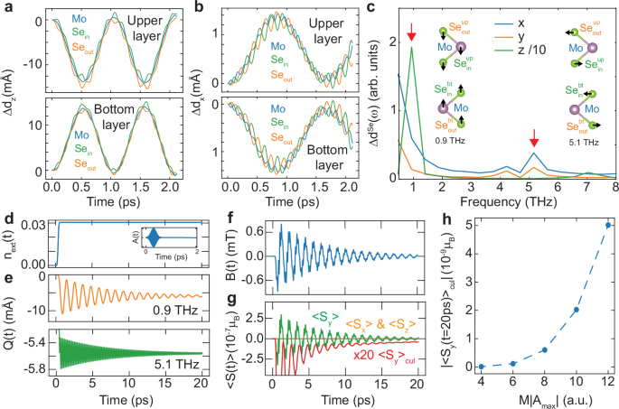 Fig. 2: Light-induced magnetic dynamics in TDDFT and Ehrenfest dynamics model simulation.