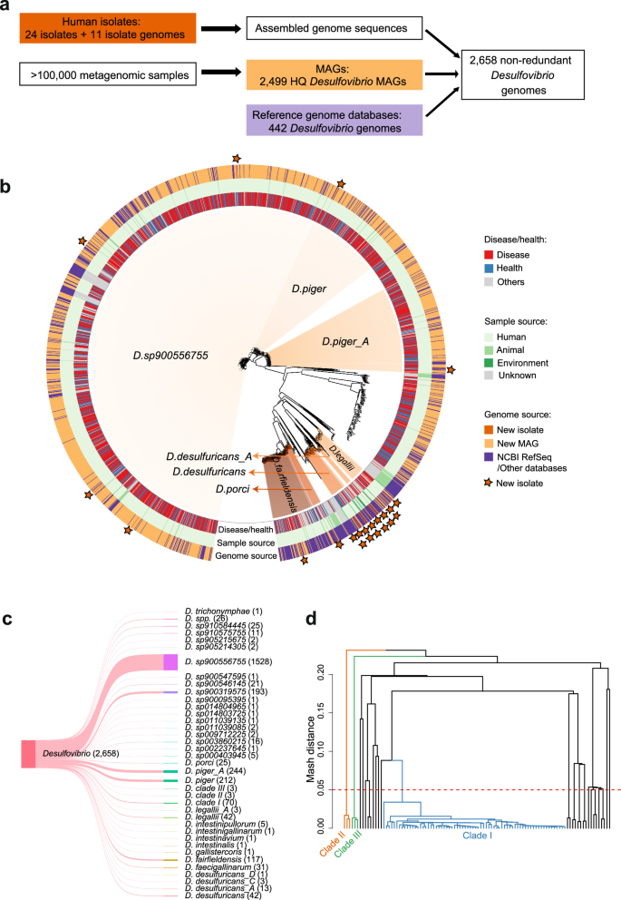 Fig. 1: Genomic analysis of 2658 Desulfovibrio genomes.