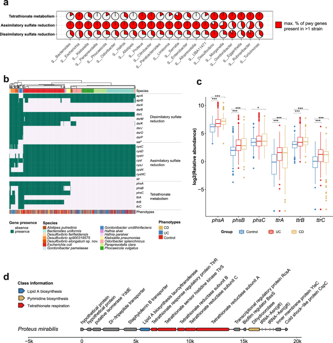 Fig. 5: H2S pathway-encoding bacteria in IBD.