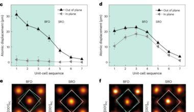 Altermagnetic signatures and topological textures in ultrathin multiferroic BiFeO3