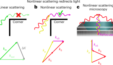 Intrinsic backward emission of coherent Raman photons from homogeneous media