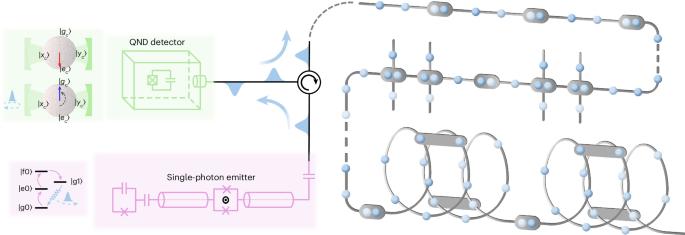 Deterministic and programmable fusion for the scalable generation of photonic graph states