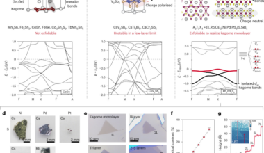 Monolayer van der Waals kagome lattice for high-temperature flat-band physics