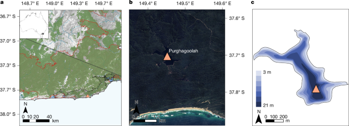 Australia’s current wildfire crisis linked to colonial land-use change