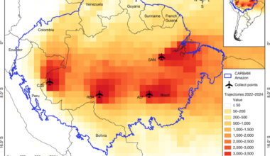 Amazon carbon emissions driven by human actions amplified by droughts